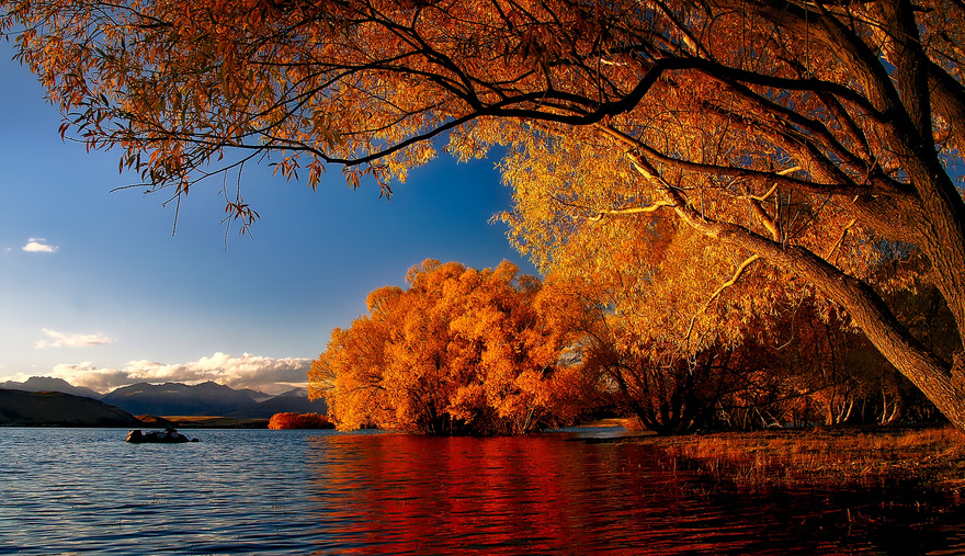 Lake Tekapo, New Zealand